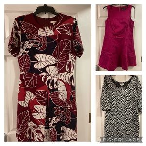 BUNDLE - Size 10 dresses - like new condition!